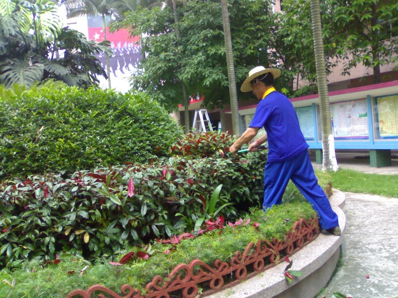 绿化工程