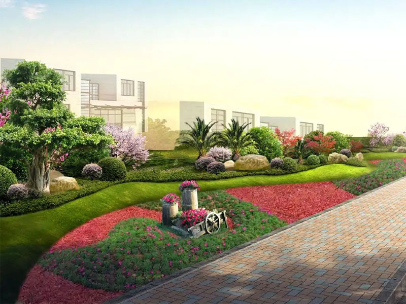 分享一些园林景观设计的常用植物及其特点